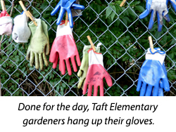 Done for the day, Taft Elementary gardeners hang up their gloves