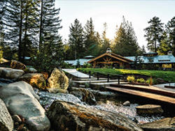 CrossRoads 2018: Connecting Amongst the Redwoods