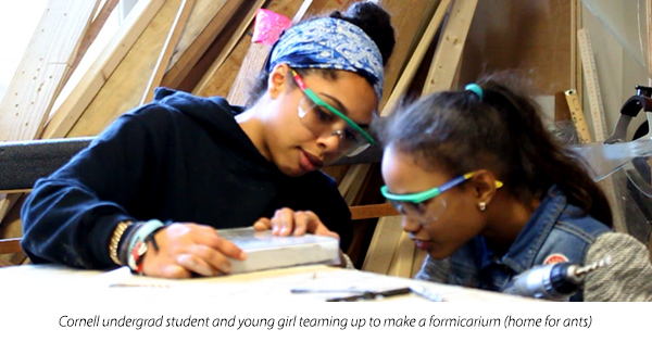 Cornell undergrad student and young girl teaming up to make a formicarium (home for ants)