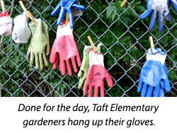 Done for the day, Taft Elementary gardeners hang up their gloves.