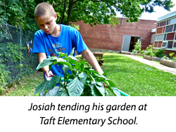 Josiah tending his garden at Taft Elementary School.