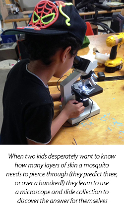When two kids desperately want to know how many layers of skin a mosquito needs to pierce through (they predict three, or over a hundred!) they learn to use a microscope and slide collection t o discover the answer for themselves. In this pic, a girl is looking through a microscope.