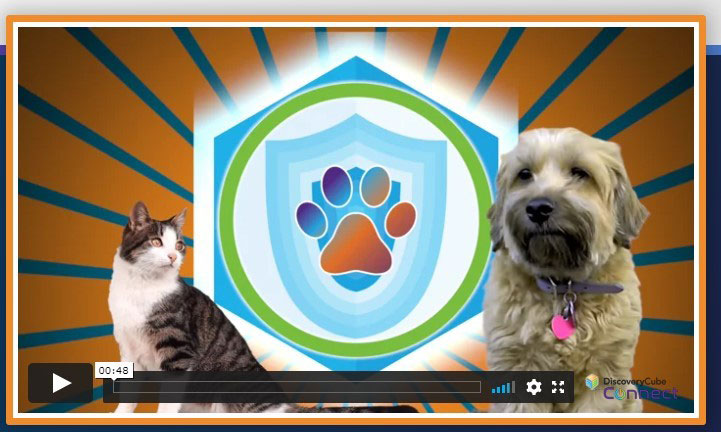 A video discussing the importance of pets