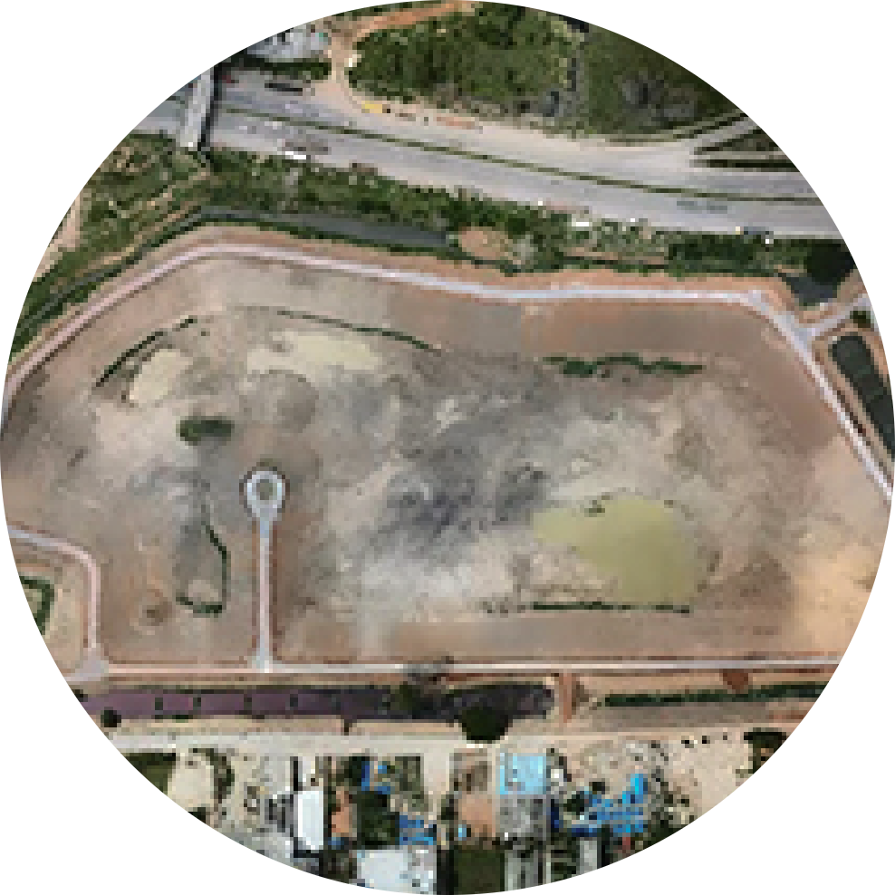 Turning Dry Beds into Living Ecosystems